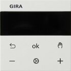 Gira 539327 S3000 RTR Display System 55