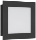 LCD 3007LED LED-Wandleuchte graphit