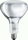 Philips BR125 IR 250W E27 230-250V klar Infrarot